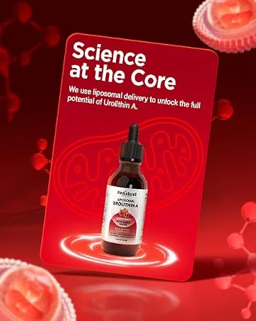 Liposomal Urolithin A Liquid Drops Urolithin A Supplement with Pomegranate Extract for Healthy Aging Antioxidant & Mitochondrial Support Non-GMO 2 Fl Oz - urolithin a supplement