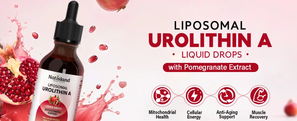 Liposomal Urolithin A Liquid Drops Urolithin A Supplement with Pomegranate Extract for Healthy Aging Antioxidant & Mitochondrial Support Non-GMO 2 Fl Oz - urolithin a supplement