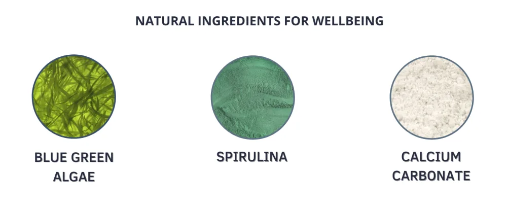 Bioxtron Natural AFA Stem Cell Supplement - Joint Support & Muscle Pain - Immune System Support - Natural Blue Green Algae Spirulina - 120 Caps - Bioxtron 60 caps ingredients
