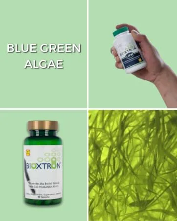 Bioxtron Natural AFA Stem Cell Supplement - Joint Support & Muscle Pain - Immune System Support - Natural Blue Green Algae Spirulina - 120 Caps - Blue green algae Capsules