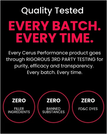Cerus Performance Flow Stimulant-Free Endurance Pre-Workout Boosts Stamina Supports Heart Health with Natural Herbs Vegan-Friendly - 2 Fl Oz - clean raw variety post blood items instantized true lemon lemonade fruits vital nature made