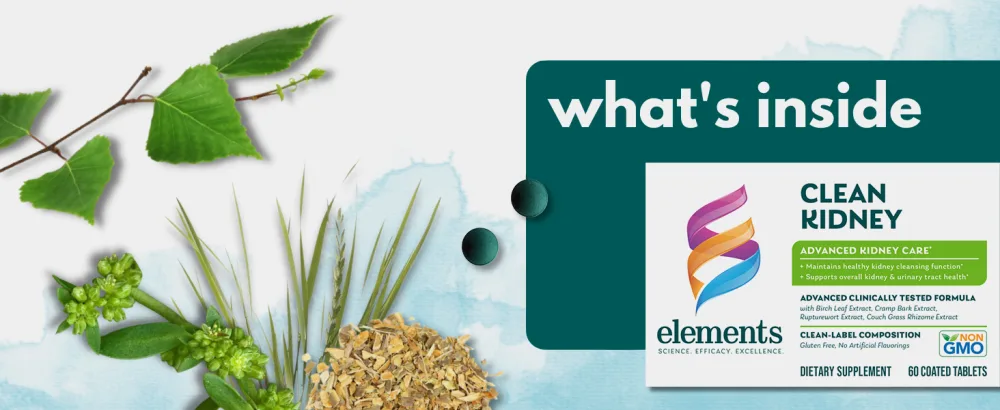 Elements Clean Kidney 60 Tablets (30 Day Supply) Supports Normal Kidney and Urinary Tract Function Gluten Free  - product information 16