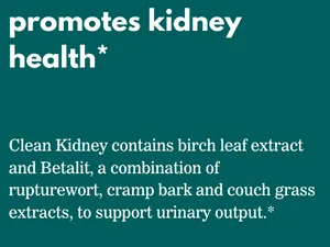 Elements Clean Kidney 60 Tablets (30 Day Supply) Supports Normal Kidney and Urinary Tract Function Gluten Free  - Promotes Kidney health
