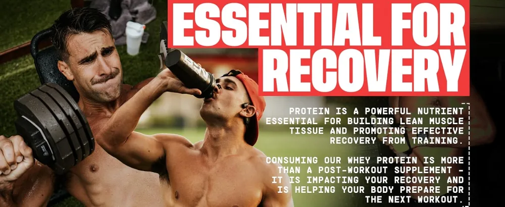 BARE PERFORMANCE NUTRITION BPN Whey Strawberry Protein & Creatine 30 Servings Bundle - whey