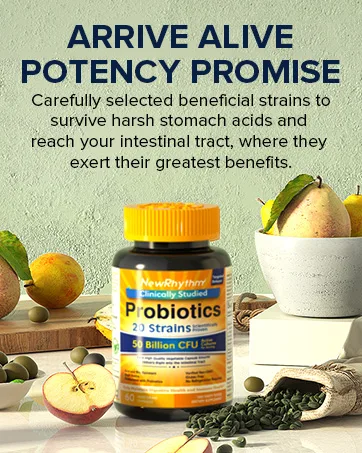 NewRhythm Probiotics for Men with Prebiotics Selenium Digestive Enzymes Akkermansia Muciniphila Cranberry Extract 150 Billion CFU 60 Vegan Caps - NewRhythm Probiotic strains survive harsh stomach acids and reach your intestinal tract.