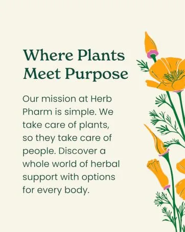 Herb Pharm Daily Immune Builder Herbal Immune System Defense - 4 Ounce 4 Fl Oz (Pack of 1) - Where Plants Meet Purpose with floral illustration and Herb Pharm's mission statement.