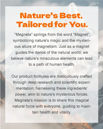 MEGNETA Shilajit for Men with Sea Moss Ashwagandha & L-Arginine Boosts Energy 60 Capsules - Megnate