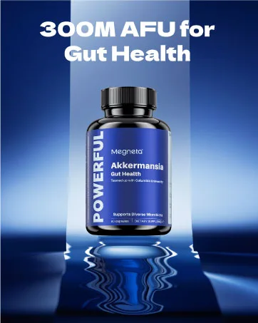 MEGNETA Shilajit for Men with Sea Moss Ashwagandha & L-Arginine Boosts Energy 60 Capsules - Megnate