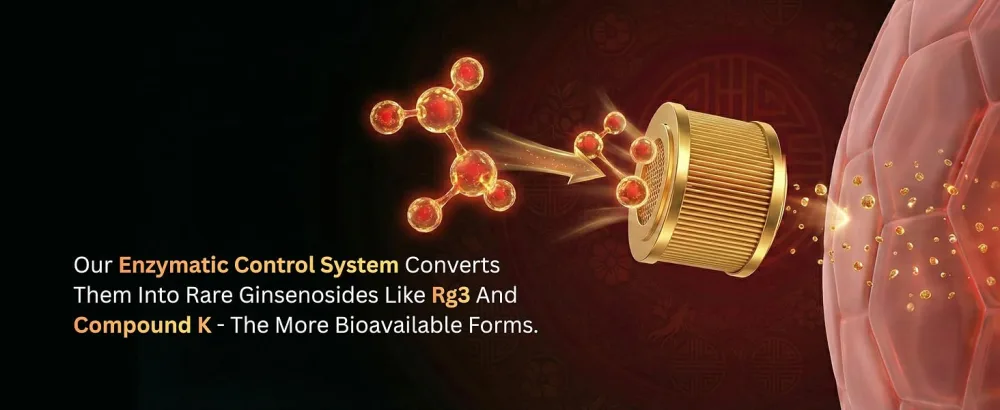 BTGIN Bon Korean Red Panax Ginseng Extract - 100% Pure Concentrate - No Additives Extra Strength Supplement - Caffeine Free Energy Focus & Immune Support - 90g - product information 10