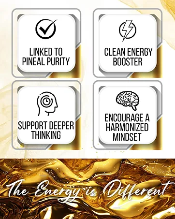 Methylene Blue Capsules (USP Pharma Grade) with NAC for Antioxidant Support Vitamin C for Absorption Beet Root for Blood Flow Cognitive Brain Boost Memory Focus & Energy 60ct - product information 3