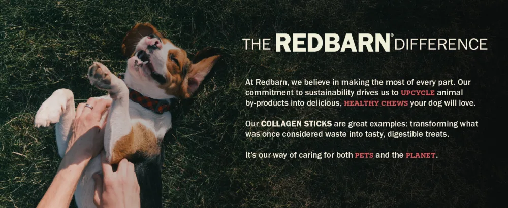 Med Bully Wrapped Collagen Stick 30ct Beef Medium - Case of 30 - Healthy chews for your dog