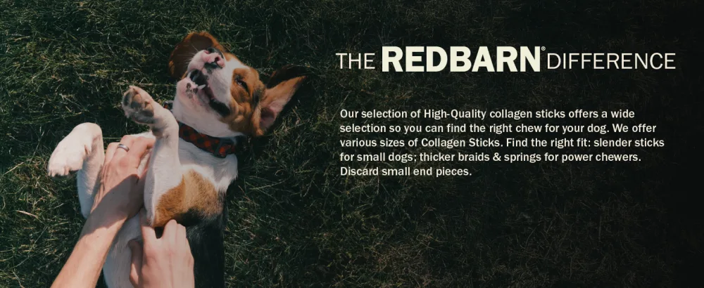 Med Bully Wrapped Collagen Stick 30ct Beef Medium - Case of 30 - high-quality treat for small, tiny, medium, large, XL dogs