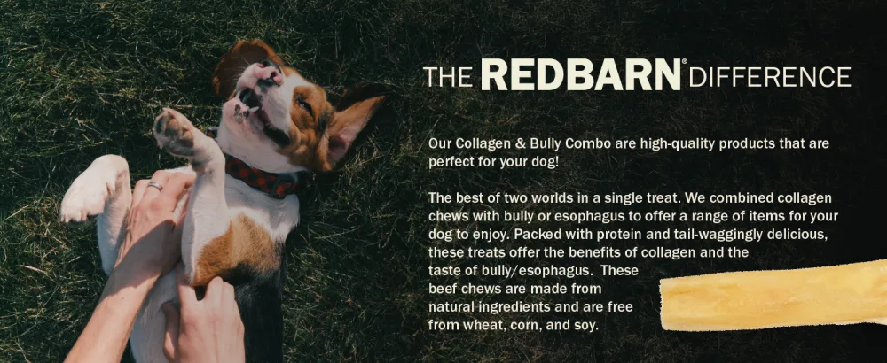 Med Bully Wrapped Collagen Stick 30ct Beef Medium - Case of 30 - High- quality treat that your pet can enjoy