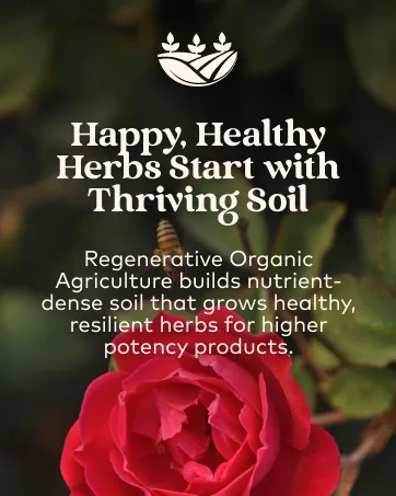 ORGANIC INDIA Joy Herbal Supplement - Immune Support Promotes Memory & Concentration Vegan Gluten-Free Kosher USDA Certified Organic Non-GMO Calming - 90 Capsules - supplement standardized albahaca sagrada planetary herbals supreme hily tablets 500 mg 450mg albaca