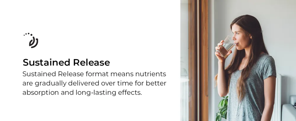 Endur L-Arginine Supplement Helps Support Healthy Blood Flow & Heart Function Exercise Performance & Immune Health Gluten Free 350mg (60 Tablets) - Sustained release: nutrients are gradually delivered for better absorption and long-lasting effects