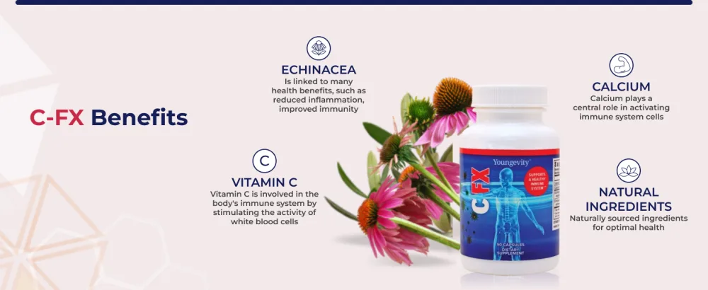 Youngevity C-Fx - Vitamin C 500mg Echinacea Herb & Root for Immune Support Supplement (90 Capsules) - C-FX Benefits