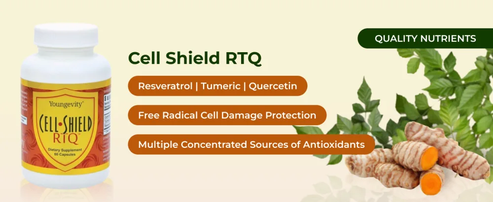 Youngevity Cell Shield RTQ - Turmeric Curcumin (95% Circuminoids) Quercetin Japanese Knotweed - Highly Bioavailable Antioxidant Blend - 60 Capsules 60 Count (Pack of 1) - Cell Shield RTQ