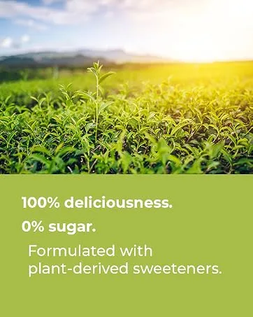EZ Melts Melatonin - Sleep Support Supplement - No Artificial Flavors - Non-GMO & Sugar-Free - Cool Mint - 60 Dissolvable Tablets (60 Servings) Mint 60 Count (Pack of 1) - Delicious, sugar-free vitamins for men and women formulated with plant-derived sweeteners.