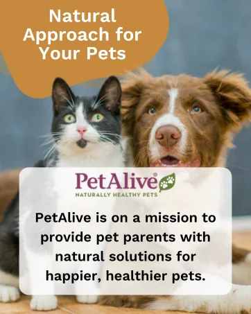 Fox Valley Traders NativeRemedies ThyroSoothe 2 Pack - petalive, mission to provide pet parents with natural solutions for happier, healthier dogs and cats