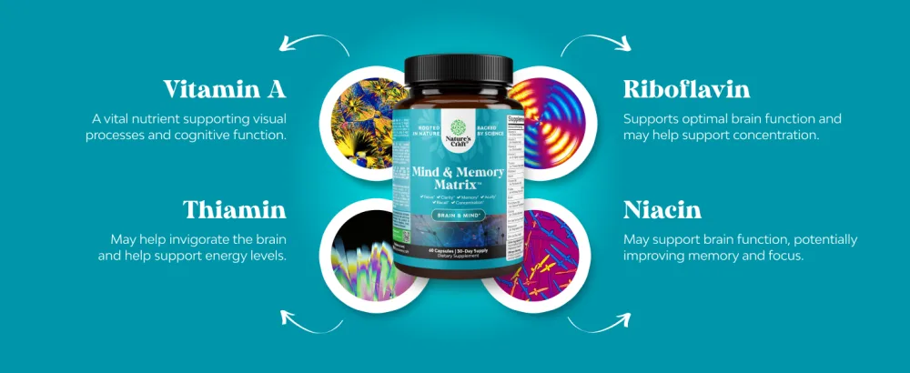 Natural Mind and Memory Supplement for Increased Mental Performance and Clarity Supports Brain Function Made with Pure Green Tea Extract DMAE Bitartrate and Vitamins 60 Capsules - 2 Pack - MindandMem 60ct