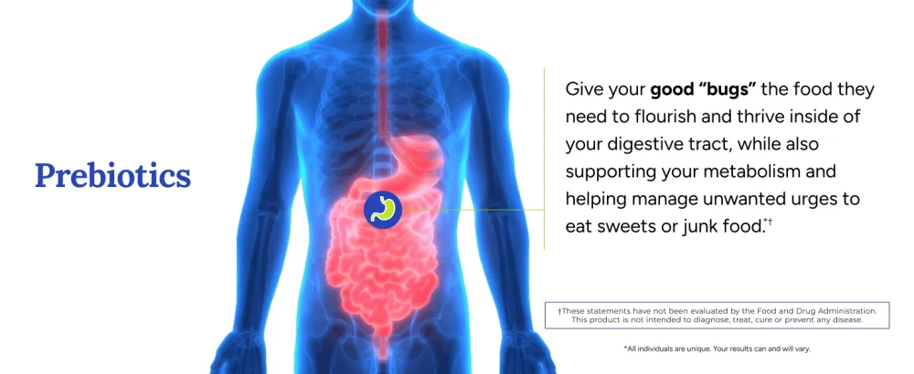 Gundry MD Bio Complete 3 - Prebiotic Probiotic Postbiotic to Support Optimal Gut Health 30 Day Supply (90 Day Supply) - prebiotics digestive digestion good healthy manage sweets and junk food cravings
