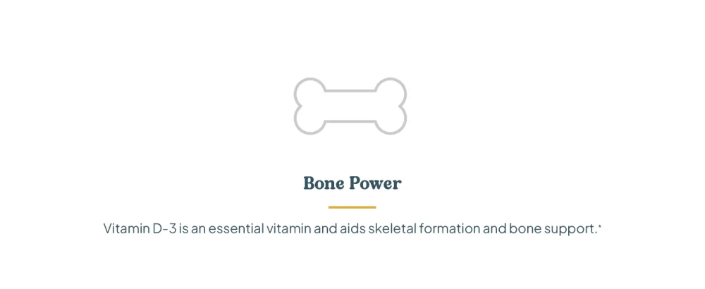 KAL Vitamin D-3 5000 IU ActivMelt Instant Dissolve Natural Lemon Lime Flavor Healthy Immune Function & Bone Support 90 Servings 90 Micro Tablets - Bone Power