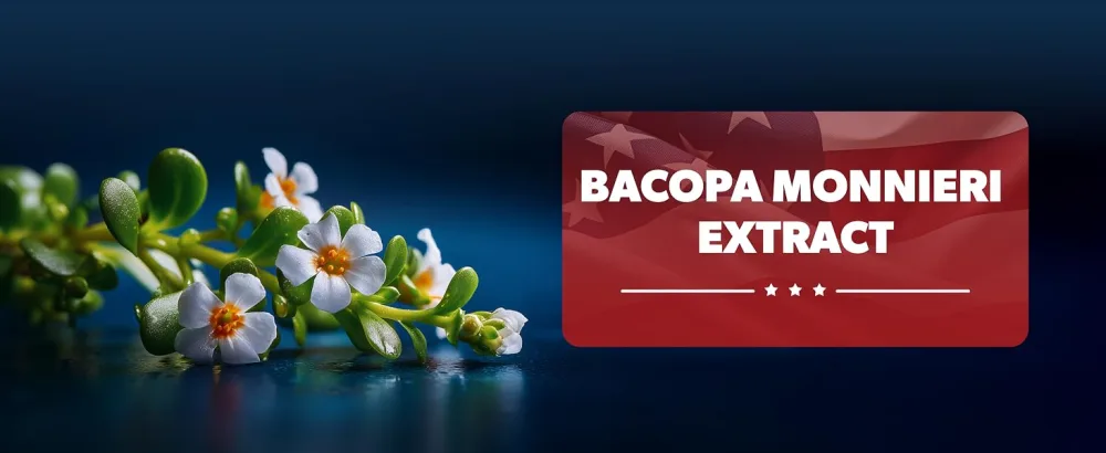 AMERICAN VITALITY Brain Formula with Niacin Vitamin B6 & GABA Provides Nutritional Support for Brain Health & Mental Performance* 60 Capsules - Bacopa Monnieri Extract