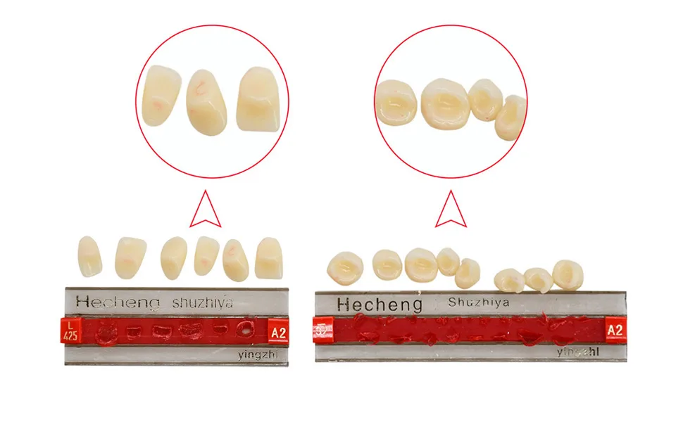 Angzhili 84 Pcs Dental Complete Acrylic Resin Denture False Teeth 3 Sets Synthetic Polymer Resin Denture Teeth 23 Shade A2 Upper + Lower Dental Materials - product information 2