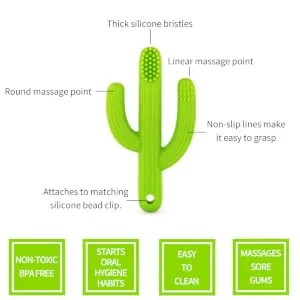 Baby Cactus Teether - Infant Training Toothbrush (Green) - cactus features