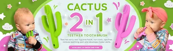 Baby Cactus Teether - Infant Training Toothbrush (Green) - cactus teether toothbrush