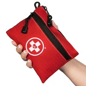 Swiss Safe Survival First Aid Kit Pocket Sized Pouch  Lightweight & Compact with Dual Zippers  64 Piece 1 - first aid bag in hand