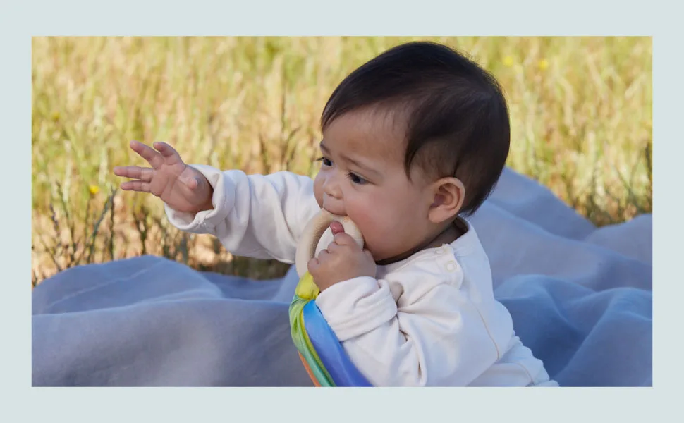 Sarah's Silks Silk and Wood Baby Teether Toy for Babies 3 Months and Older - Sea - banner image for teethers
