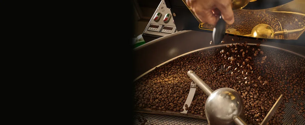 L'OR 2Kg Caf en Grains S lection 100% Arabica Intensit 6 2 Paquets d'1kg - product information 2