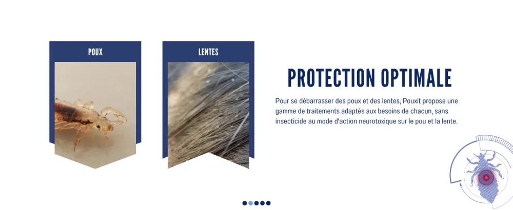 POUXIT - Baume d colleur de lentes - Peigne inclus - 10 fois plus efficace que le peignage seul - 100ml Unique - product information 2