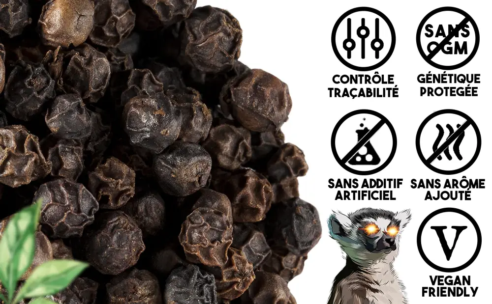 500gr Poivre Noir BIO de Madagascar Haute Qualit Prima+ Poivre en grain Note Florale Bois Fruit de Nab r - product information 7