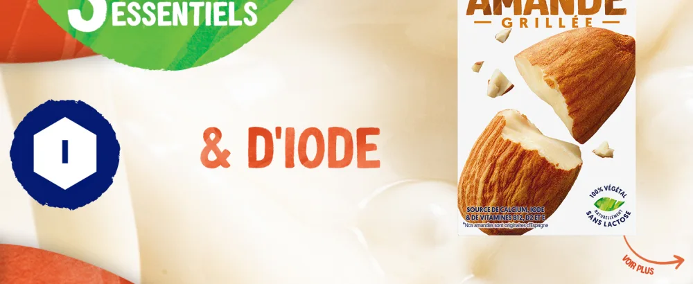 Alpro - Boisson V g tale - Lait d'Amande Grill e Sans Sucres - 1L - Lot de 8x1L - product information 4