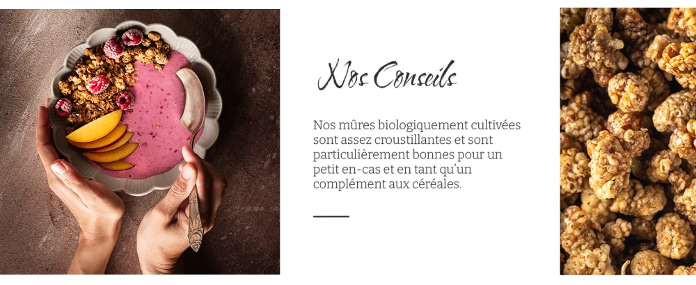 Biojoy Noix de Coco R p e BIO (250 g) s ch e et non grill s Flocons de noix de coco sans additifs - product information 3