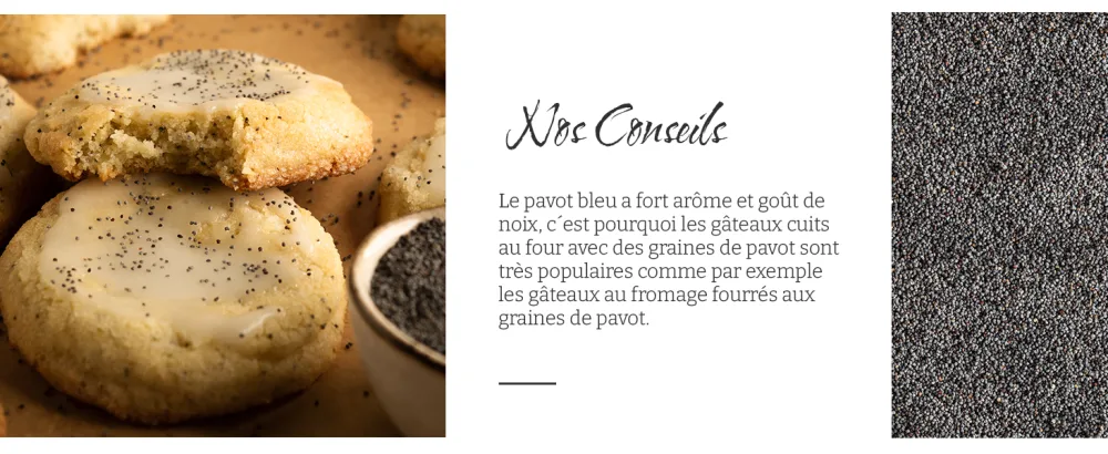 Biojoy Anis vert BIO (250 g) graines d'anis enti res sans additifs - product information 2
