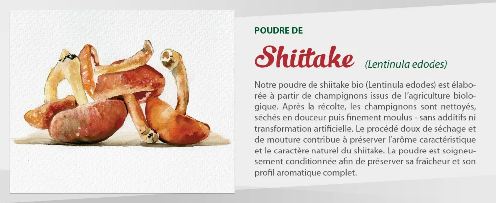 Biojoy Poudre de Shiitake Biologique (50 g) champignons Shiitake s ch s et finement moulus (Lentinula edodes) - product information 1