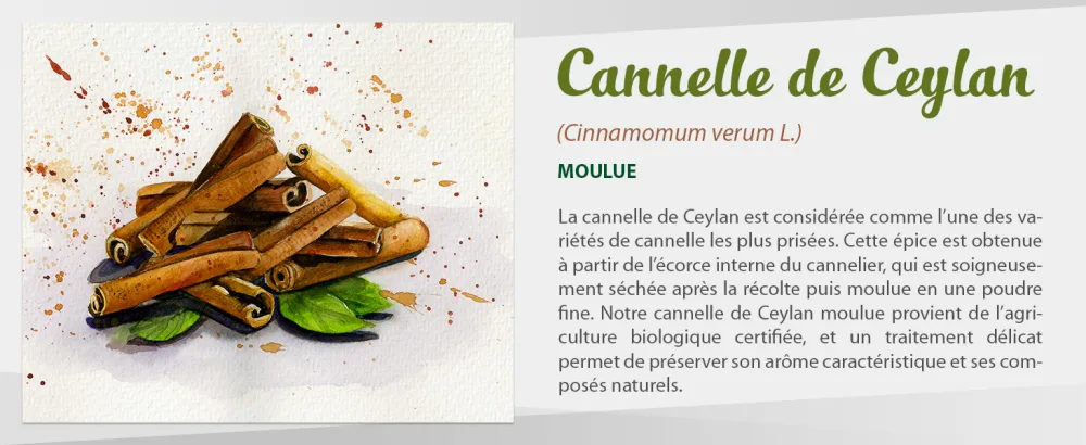 Biojoy Cannelle de Ceylan BIO en poudre (1 kg) sans additifs (Cinnamomum verum L.) - product information 1