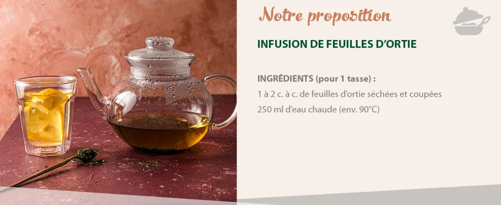 Biojoy Th d'ortie BIO (500 g) s ch et coup Feuilles d'ortie (Urtica dioica) - product information 3