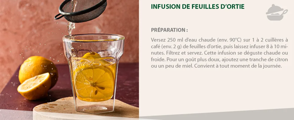 Biojoy Th d'ortie BIO (500 g) s ch et coup Feuilles d'ortie (Urtica dioica) - product information 4