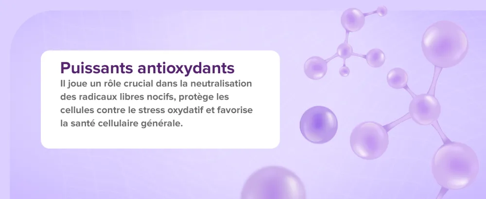 Glutathion 1000 mg x 60 Comprim s. Avec 500 mg de Glutathion 300 mg d ALA et 200 mg de Vitamine C par comprim . 60 Unit (Lot de 1) - product information 2