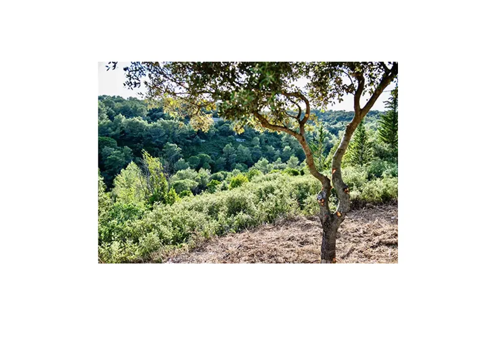 Perrier Min rale Naturelle gazeuse - 4 Packs de 6x 33cl Nature 1.98 l (Lot de 4) - product information 2