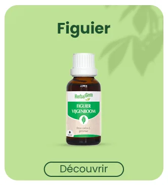 Herbalgem Optigem Complexe de Gemmoth rapie Concentr e Confort Oculaire 30 ml Confort Oculaire 30 ml (Lot de 1) - product information 9