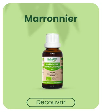 HERBALGEM - Mac r t-M re - Romarin Bio - Compl ment Alimentaire Gemmoth rapie Concentr e - Extrait De Bourgeon Frais - Pour Digestion Drainage D tox - 30 ml - product information 11