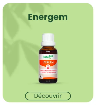 HERBALGEM - Mac r t-M re - Romarin Bio - Compl ment Alimentaire Gemmoth rapie Concentr e - Extrait De Bourgeon Frais - Pour Digestion Drainage D tox - 30 ml - product information 14