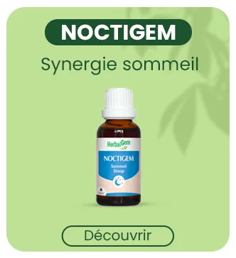 HERBALGEM - Mac r t-M re - Romarin Bio - Compl ment Alimentaire Gemmoth rapie Concentr e - Extrait De Bourgeon Frais - Pour Digestion Drainage D tox - 30 ml - product information 4