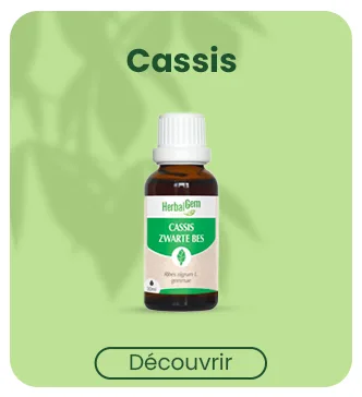 HERBALGEM - Mac r t-M re - Romarin Bio - Compl ment Alimentaire Gemmoth rapie Concentr e - Extrait De Bourgeon Frais - Pour Digestion Drainage D tox - 30 ml - product information 8