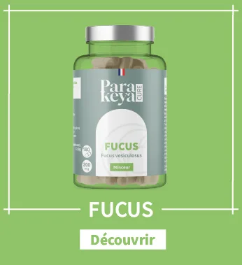 Ispaghul 300mg | Compl ment Alimentaire| 180 G lules 180 unit (Lot de 1) - product information 22
